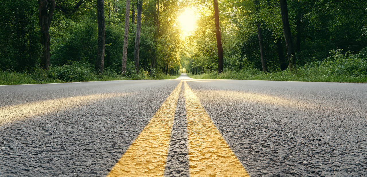 Environmental auditor and compliance work